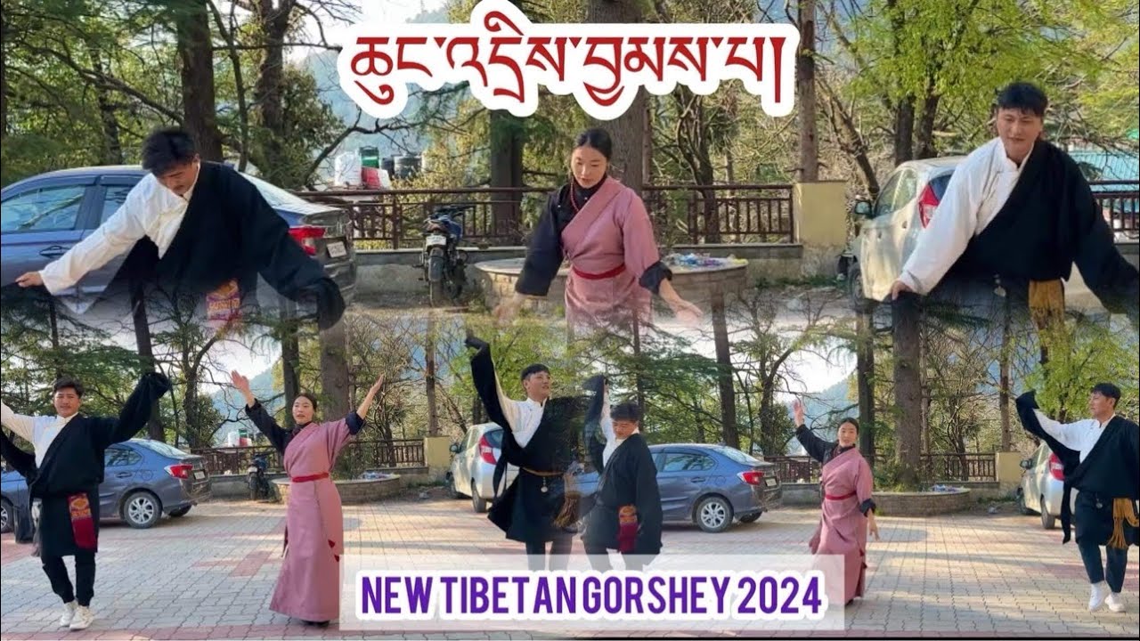 Tibetan Gorshey 2024༼ ཆུང་འདྲིས་བྱམས་པ།༽ #tibetandance #tibetangorshey #tibetancircledance