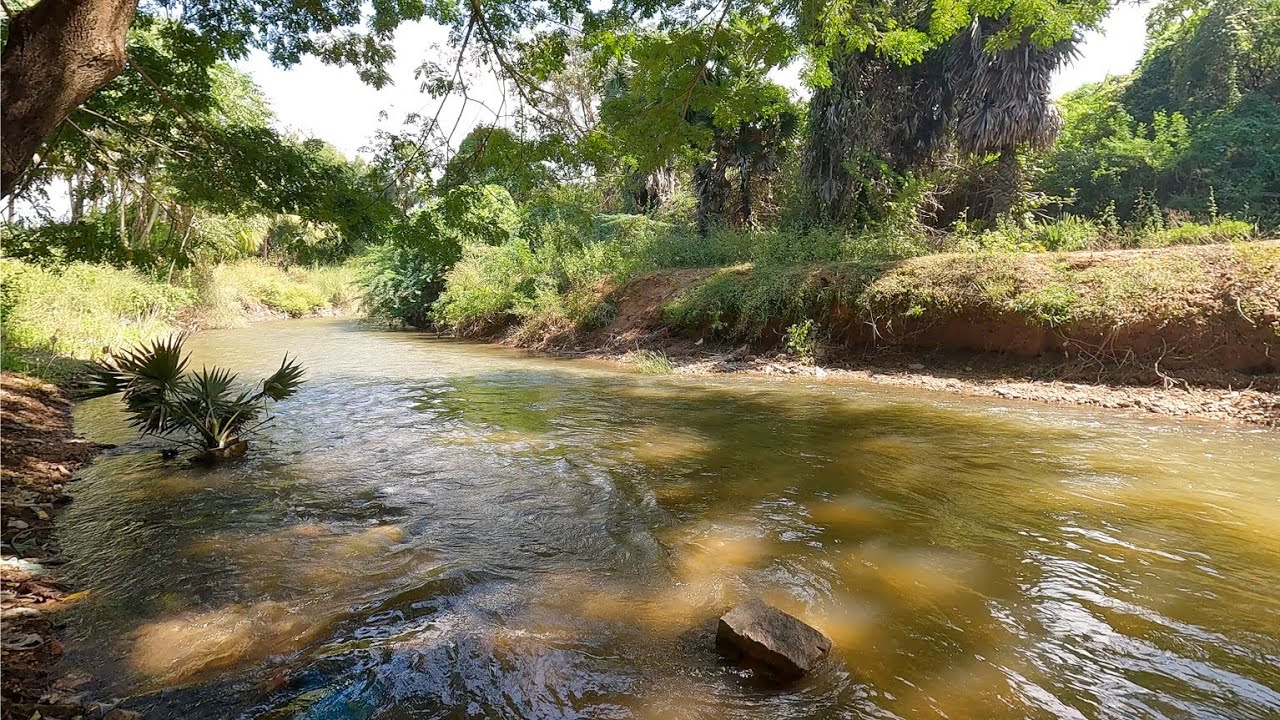 Madurai Hidden Spots | Madurai's Secret Water Paradise