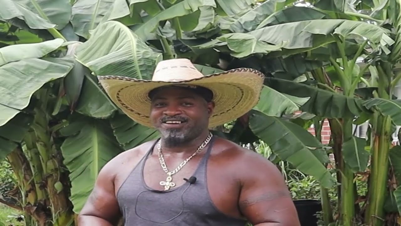 Growing self sustainability 