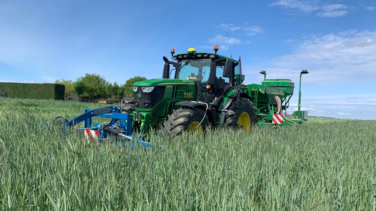 Semis direct sous couvert de soja