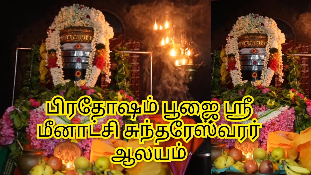 பிரதோஷம் பூஜை ஸ்ரீ மீனாட்சி சுந்தரேஸ்வரர் ஆலயம் || pradosha Meenakshi sundareshwar temple vysarpadi