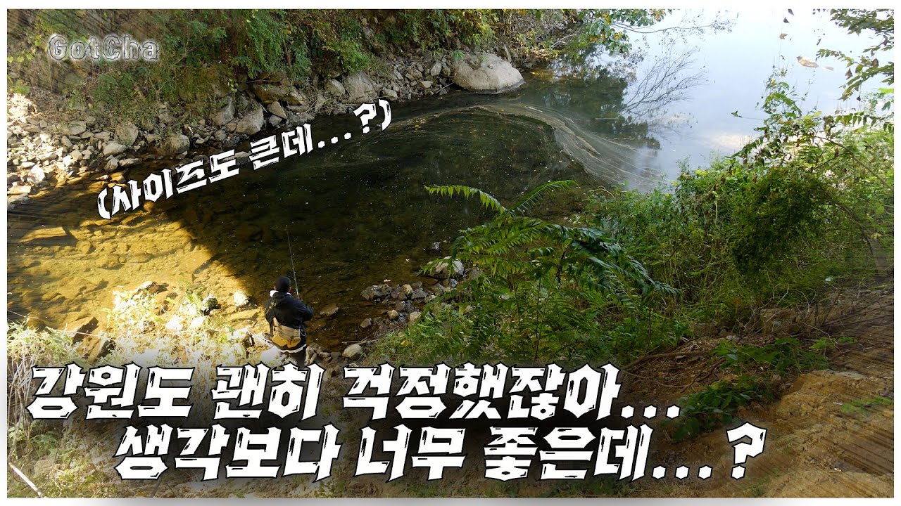 배스 피딩도 장난 아니고 강원도가 이렇게 좋은 곳이었나요?(feat. 박성완 )