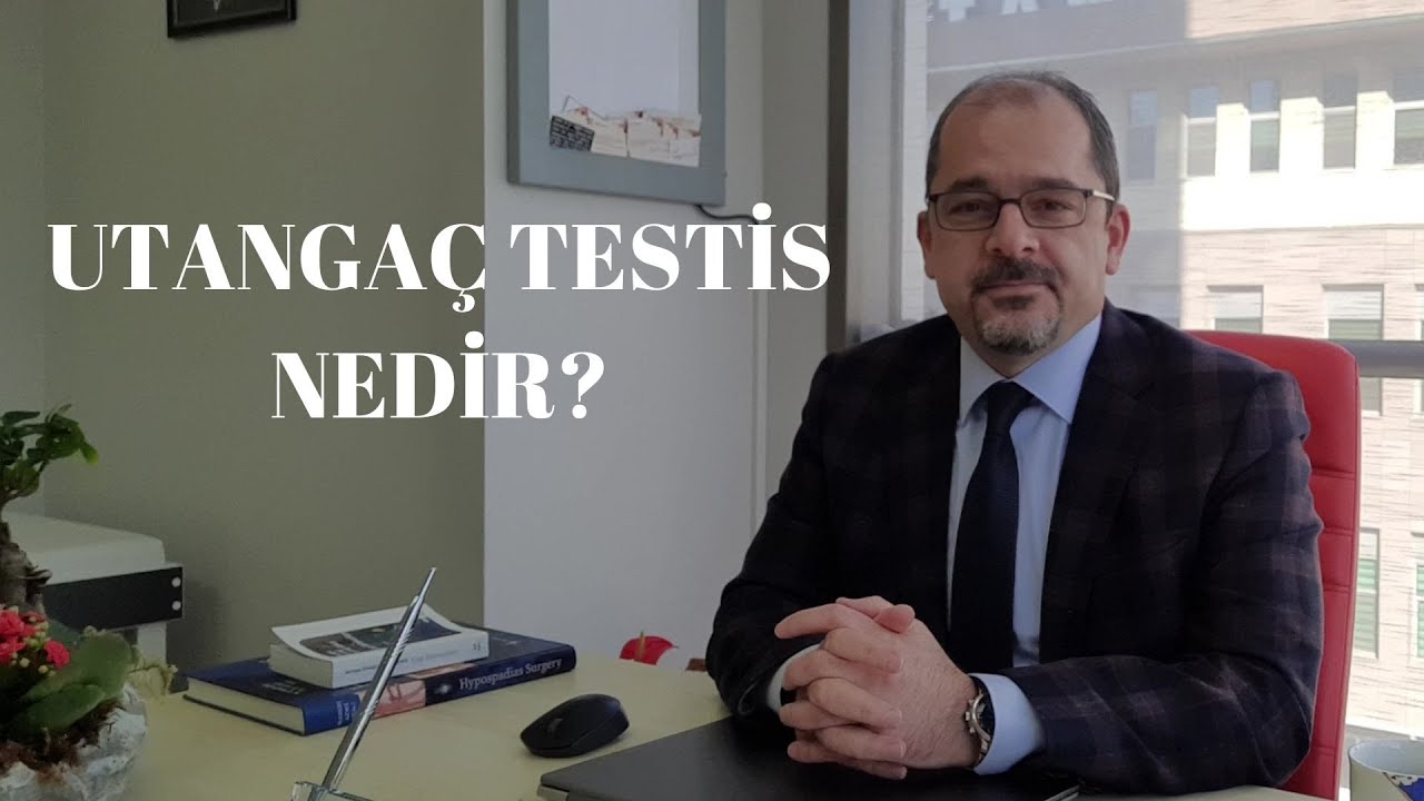 (2) UTANGAÇ TESTİS NEDİR?