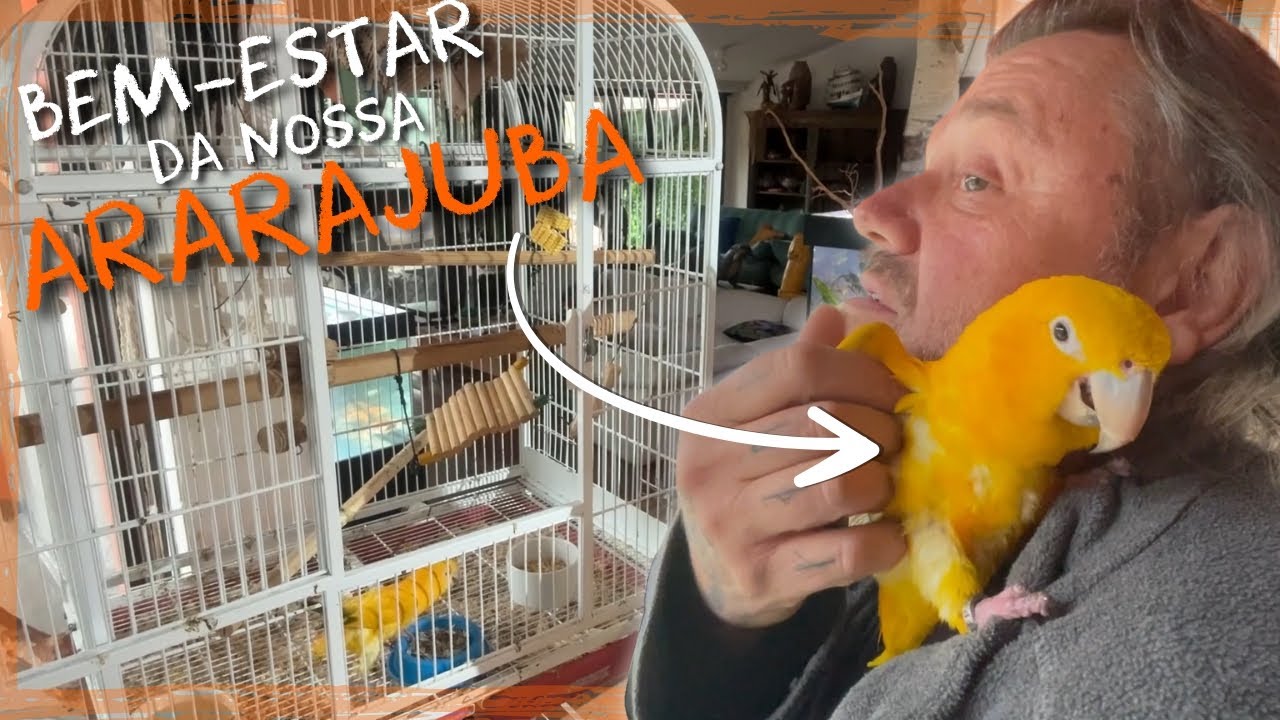 A IMPORTANCIA DO MANEJO E BEM-ESTAR DAS AVES! | A CASA DOS BICHOS