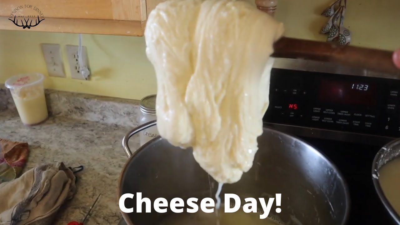 A Very Dairy Kinda Day - Natural Cheesemaking