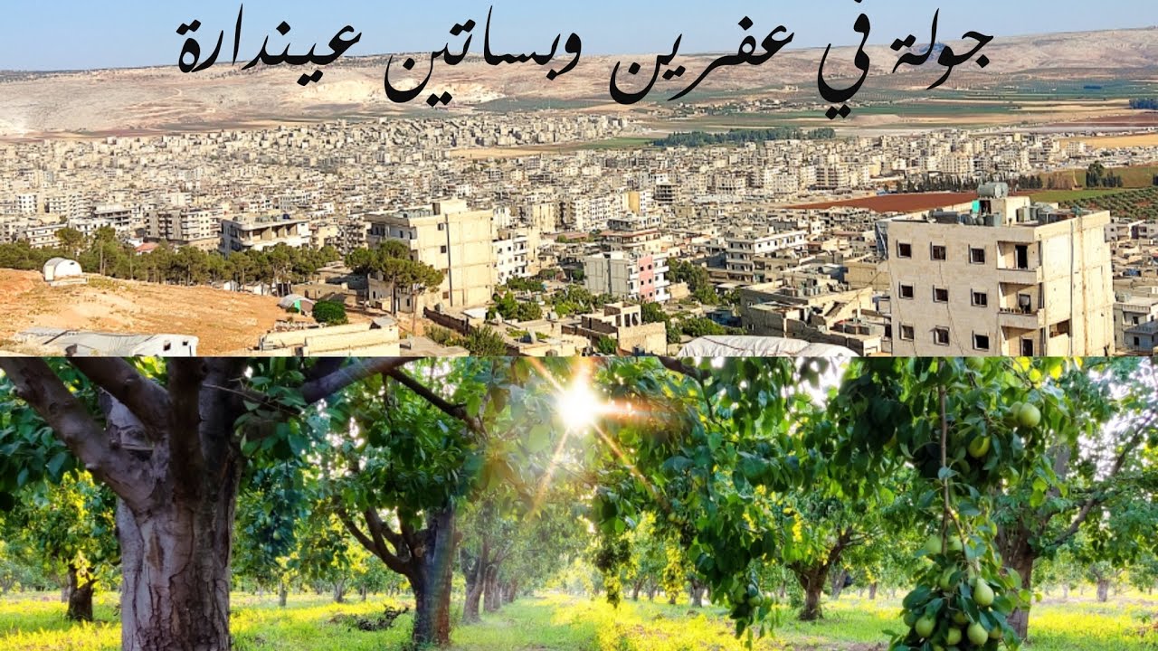 عفرين طريق عيندارة وجمالها الساحرة 😍🌳