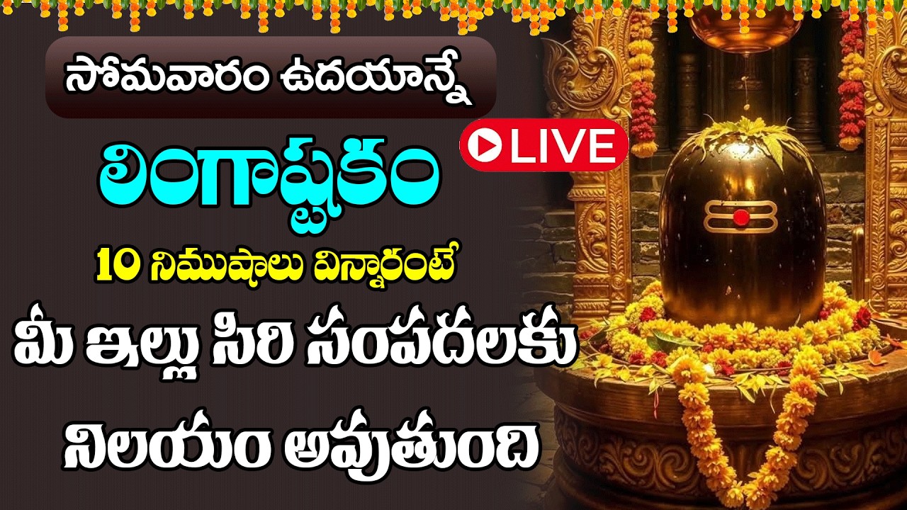 LIVE :  సోమవారం ఉదయాన్నే  లింగాష్టకం  మీ ఇంట్లో ధ్వనిస్తే శివయ్య అనుగ్రహం మీకు ఉంటుంది