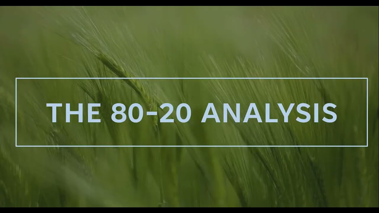 LECTURE SERIES I1I PARETO PRINCIPLE I