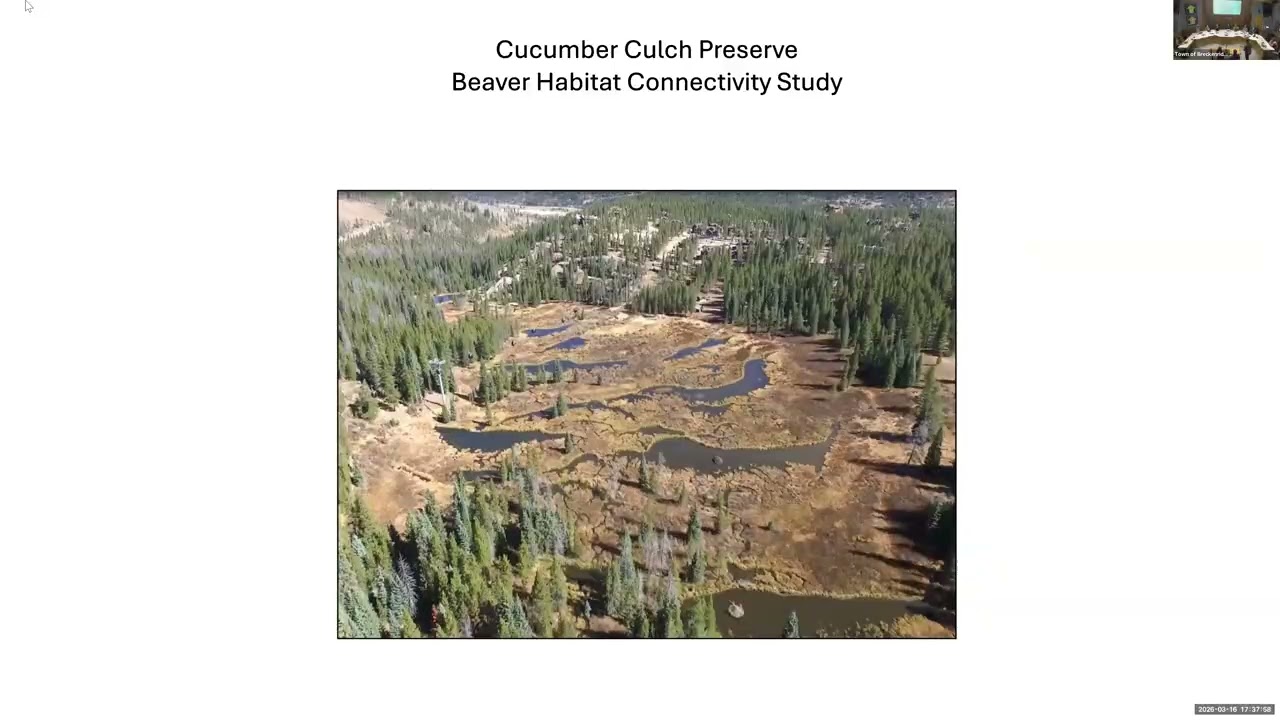 Breckenridge Open Space Advisory Commission Meeting, March 16, 2026
