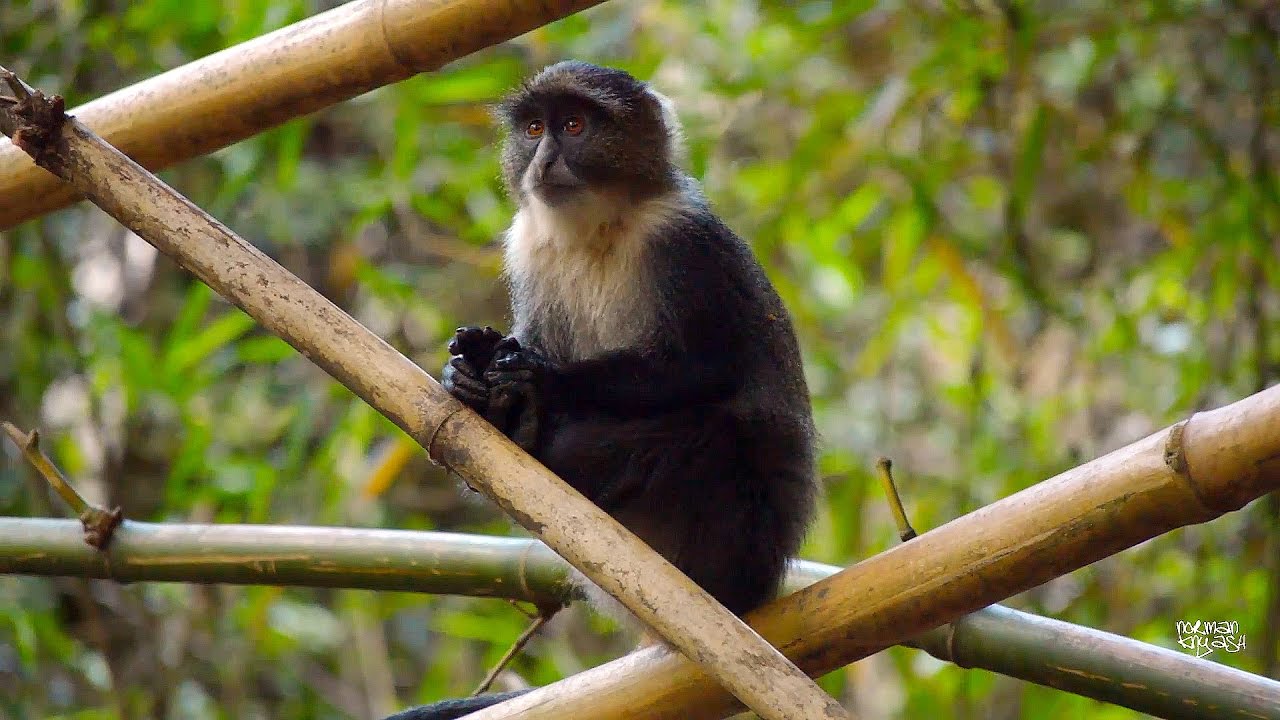 Ololua Nature Trail Adventure