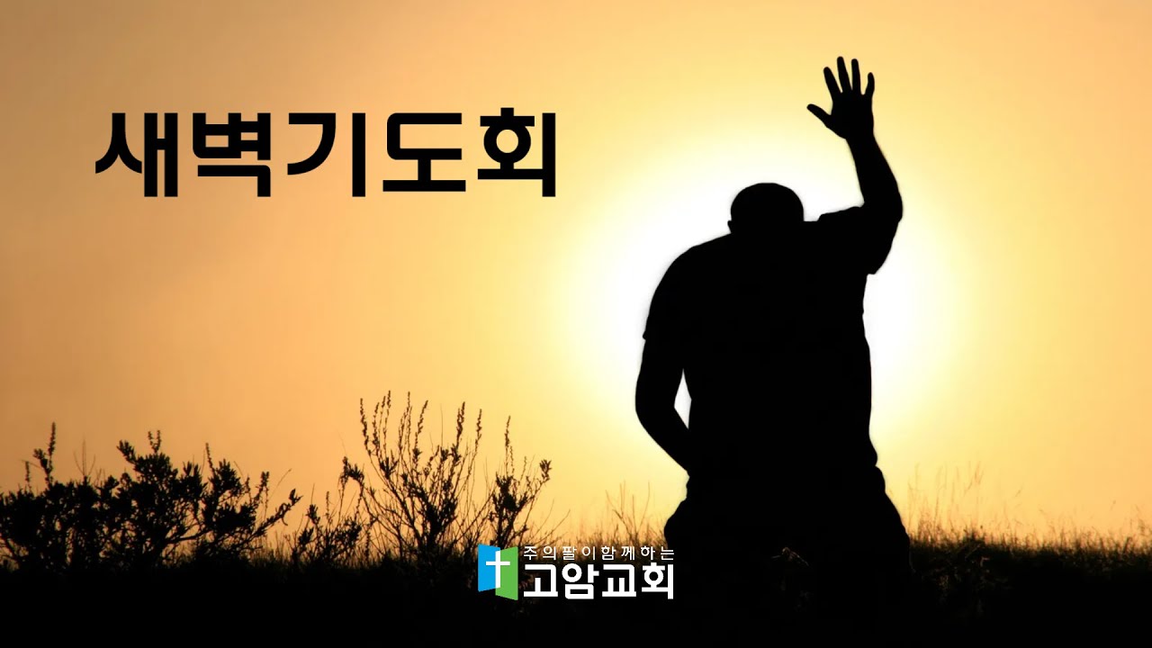 260224 새벽(시편119:129-144)  주의 말씀이 열리면_이재진 담임목사