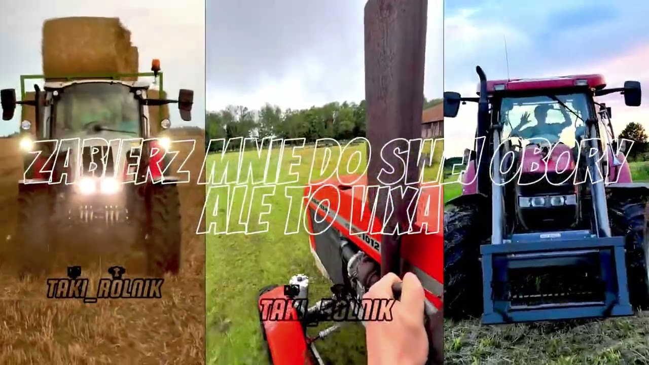 Zabierz Mnie Do Swej Obory Ale To Vixa (Smerfix 4Fun Mash)