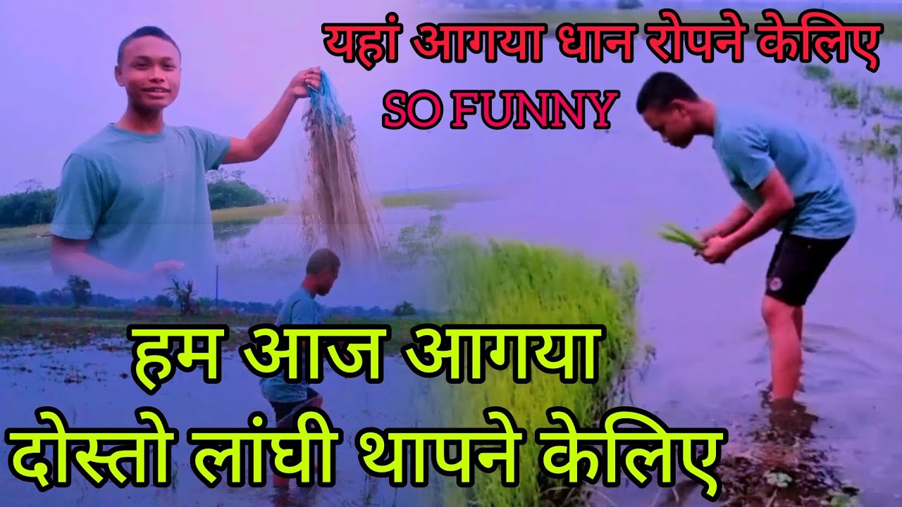 हम आगया मछली पकड़ने #trending #viralvideo RSVLogs.v2