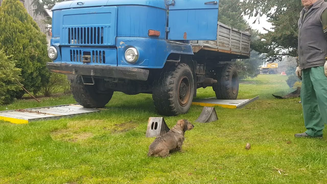 IFA L60 1218 Improvised Drivetrain Test | Approved by the Dachshund