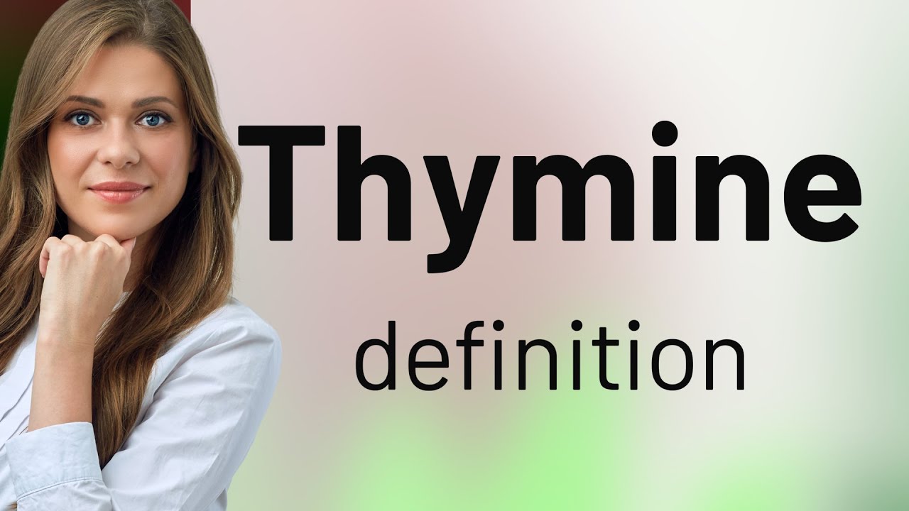 Thymine &bull; definition of THYMINE
