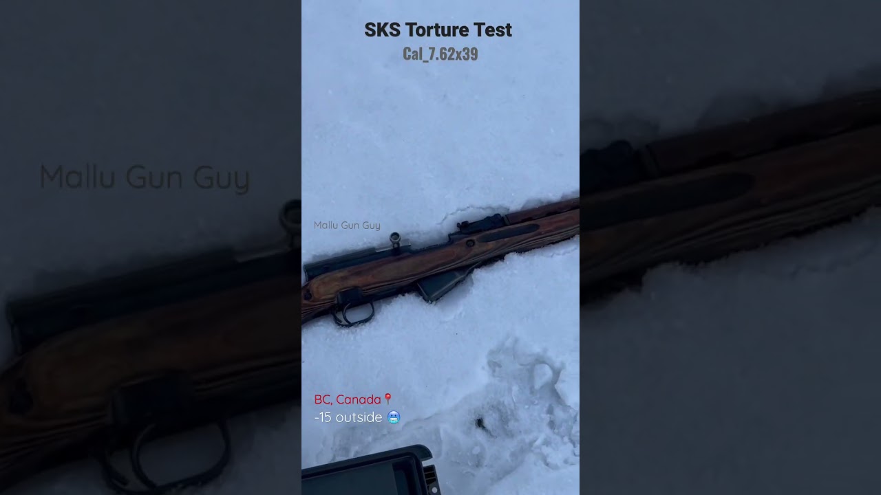 SKS Torture Test           #shorts #malayalam #trending #sks  #pubg #pubgmobile #asmr  #freedom 😘