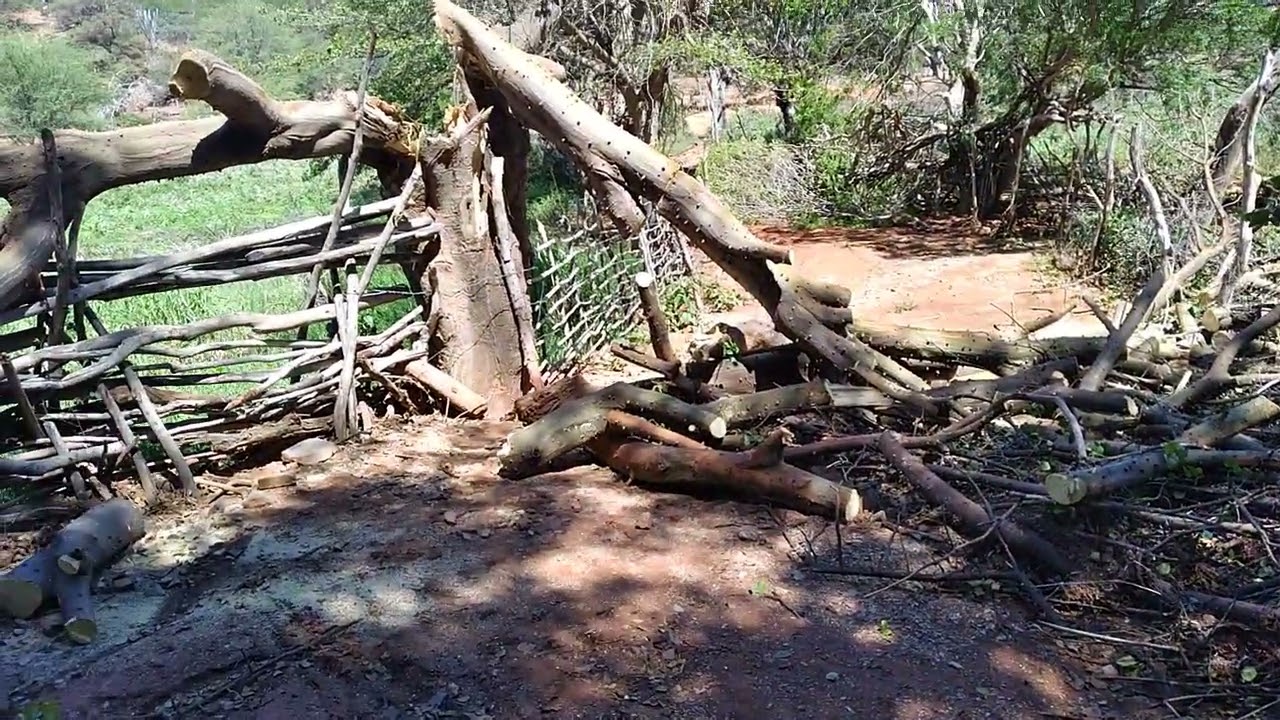 FAZENDA QUIXABA MUNICÍPIO DE SENTO SE BAHIA 