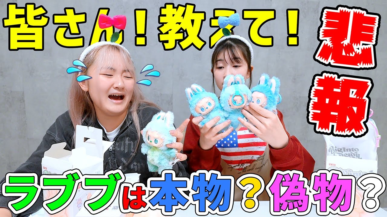 【悲報】みんな～教えて！はねまり家のラブブは本物？偽物？ - はねまりチャンネル