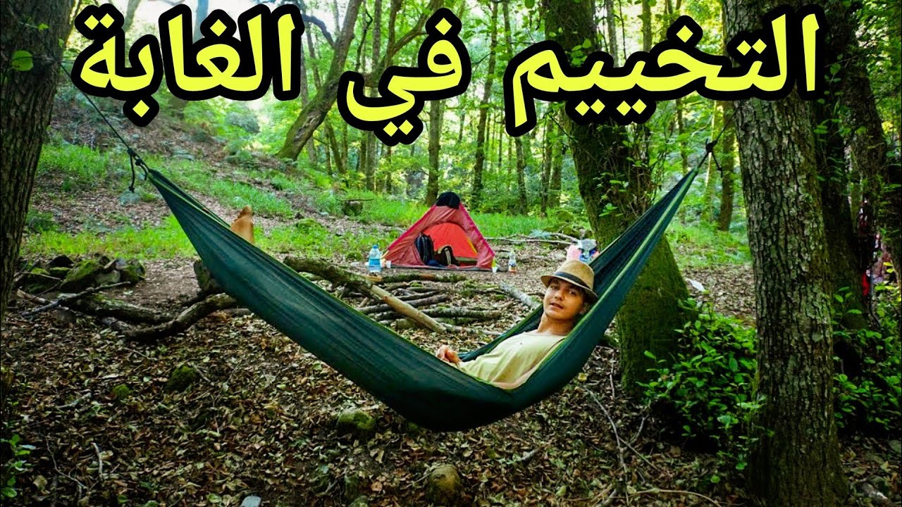 قضاء ليلة في أجمل غابات الجزائر  | Into the Wild