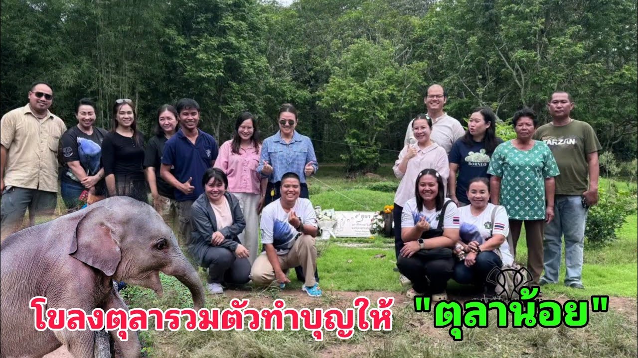 17 สิงหาคม 68 วันนี้โขลงตุลามารวมตัวกันเพื่อทำบุญใหญ่ให้กับ “ตุลาน้อย” อย่างอบอุ่นและเรียบง่าย รัก❤️