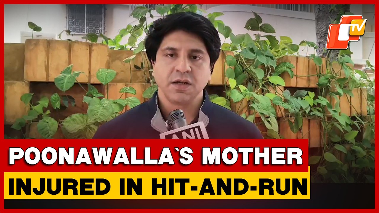 BJP’s Shehzad Poonawalla's Mother Injured In Hit-And-Run Case In Pune