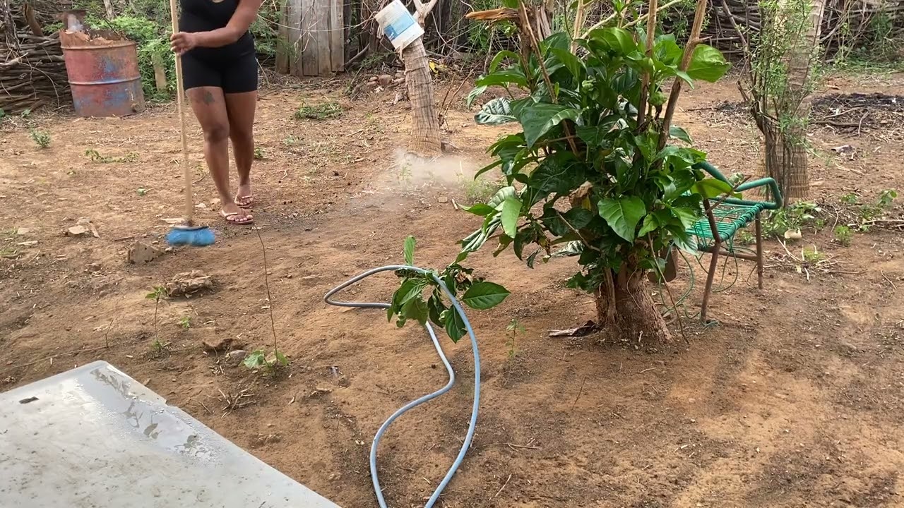 DEMOREI MAIS VOLTEI 🤗
