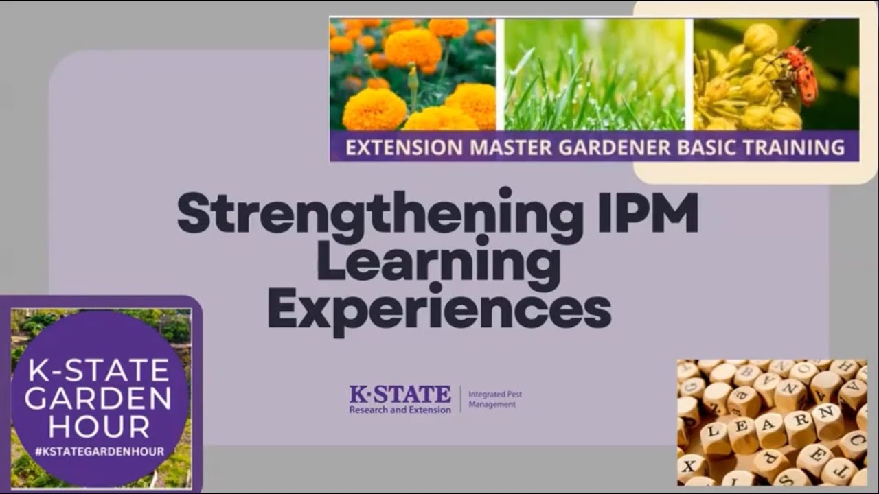 Strengthening IPM Learning Experiences: Kansas IPM Program Highlights 2021-2024