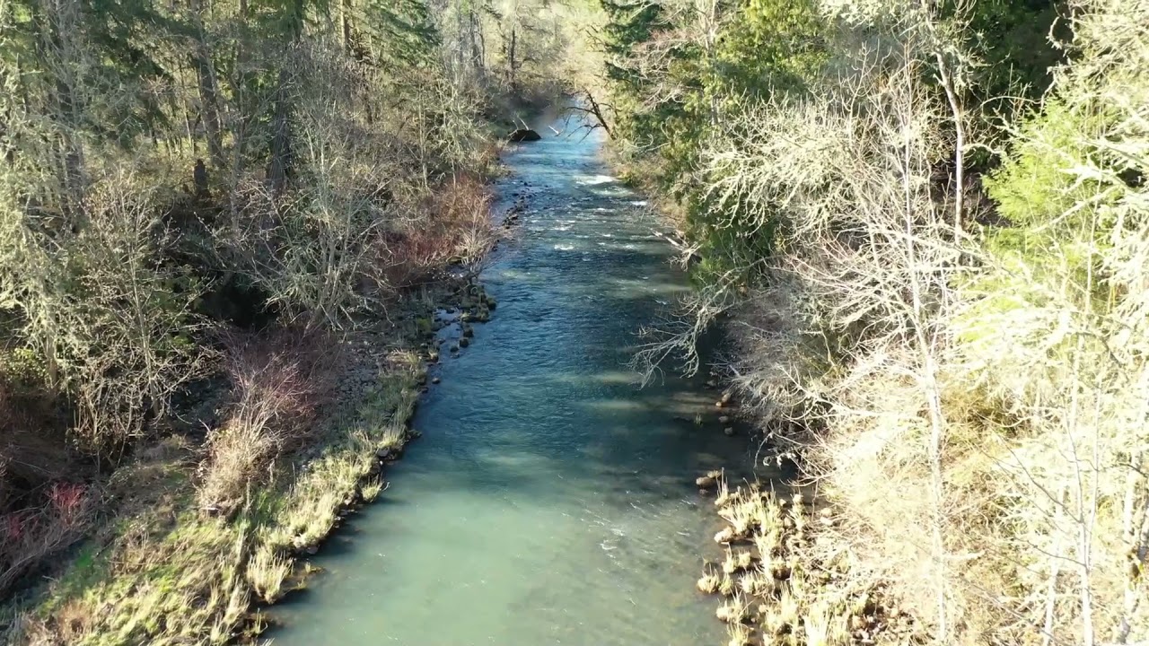 223 acre Pacific NW Cattle Ranch for Sale