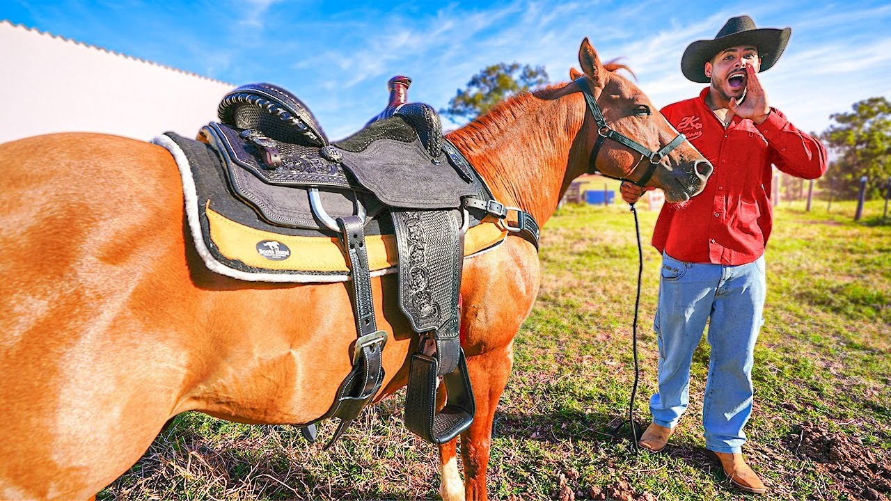 ESSA É A MINHA NOVA SELA DO MEU CAVALO DE 50.000 REAIS