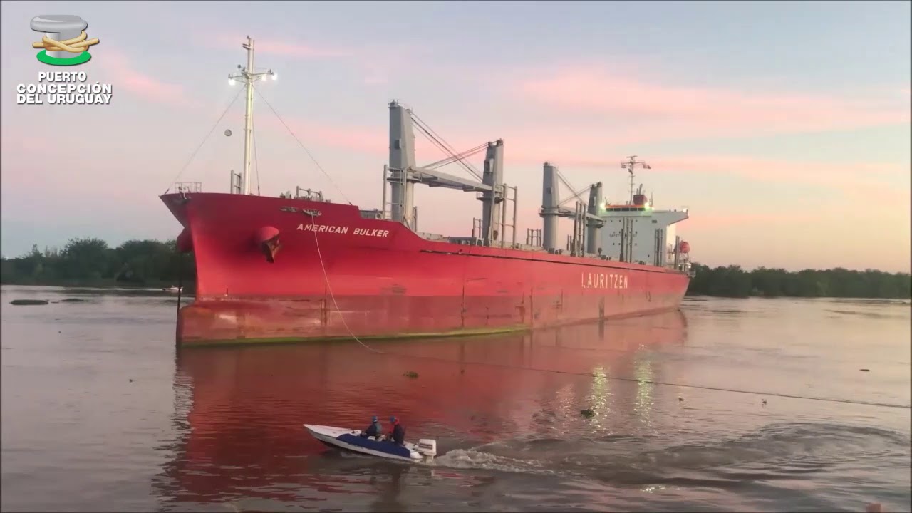 Carga de madera de pino en el American Bulker - Puerto Concepci&oacute;n del Uruguay