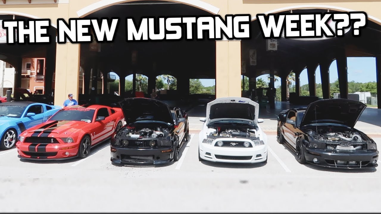 A New Mustang Week in Florida? Mustangs at Daytona Beach 2019 *Mustangs Everywhere!*