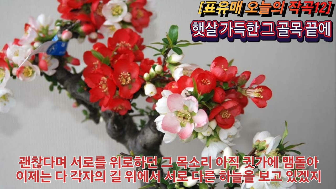 햇살 가득한 그 골목 길에
