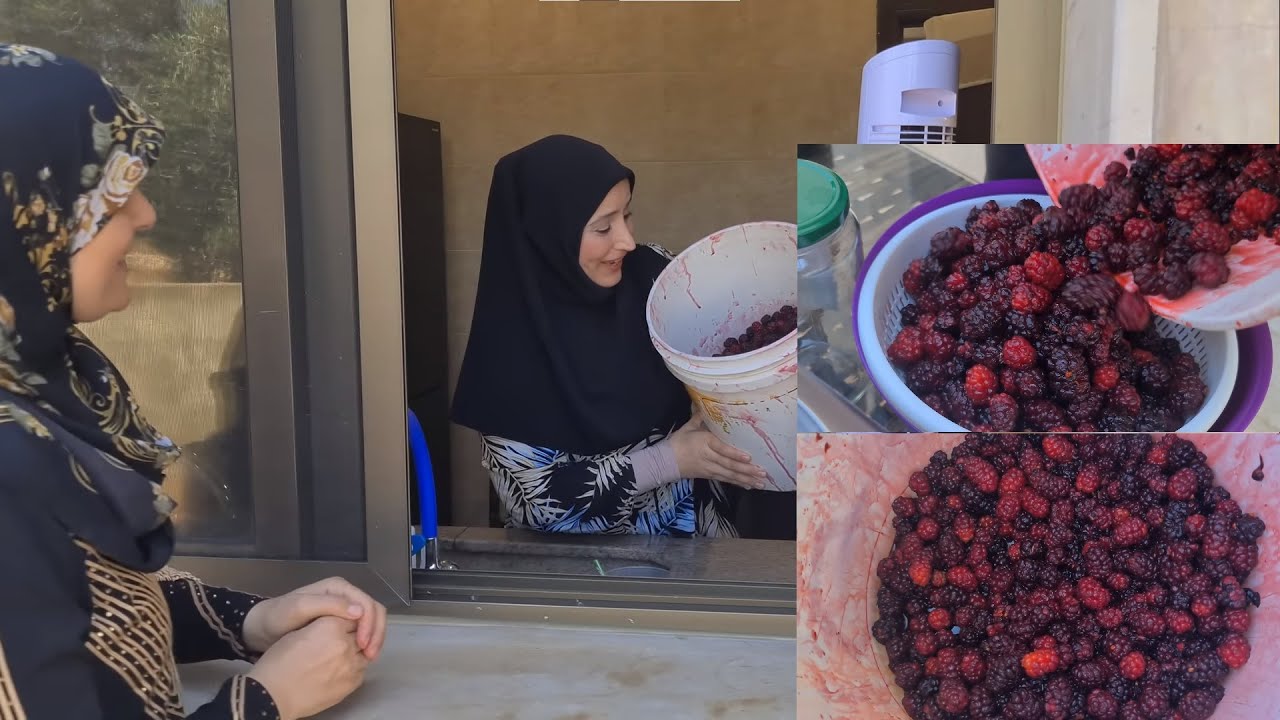 يدوم 3 سنوات🍇 عصير التوت الطبيعي 🍇