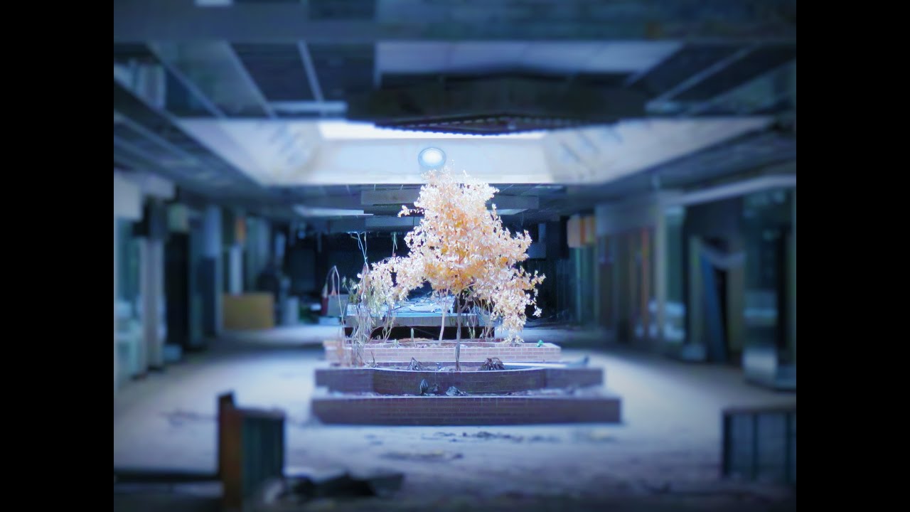 Abandoned Metro North Mall in the Midwest