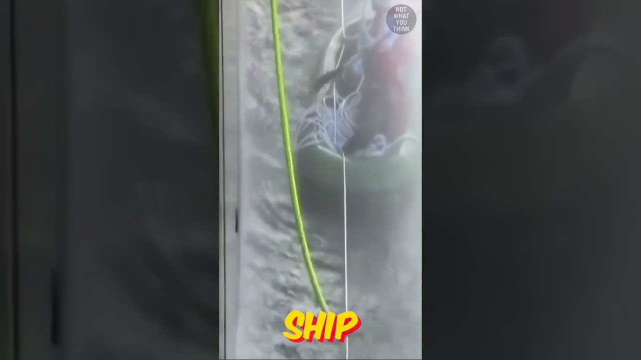 Pirate's defense