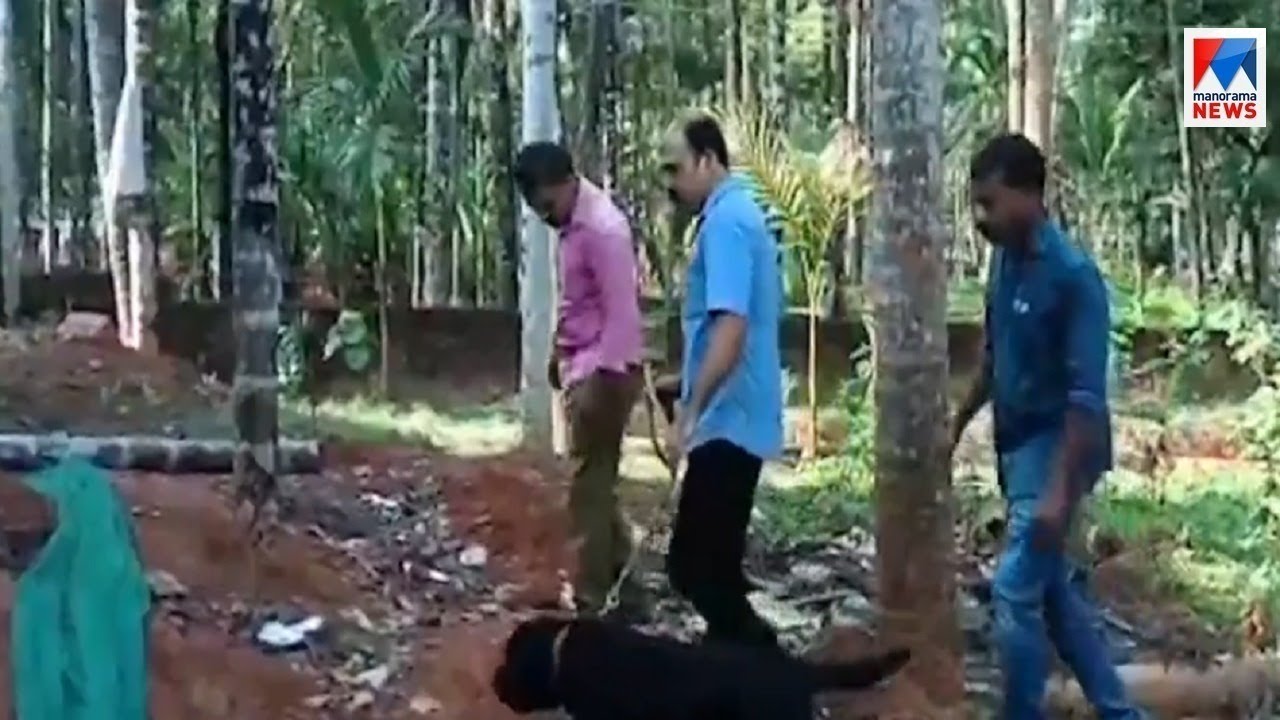 നാദാപുരത്തെയും സമീപ ഇടങ്ങളിലെയും ബോംബ് ശേഖരം കണ്ടെത്താന്‍ പൊലീസിന്റെ ഇടപെടല്‍ | Kozhikode | Bomb