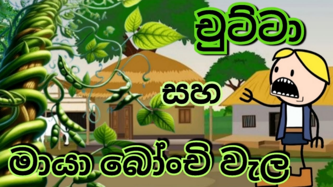 චුට්ටා සහ මායා බෝංචි වැල 😁🌿|| @Sltoontv || Sl toon tv 📺 || Subscribe Now || #subscribe #fypage