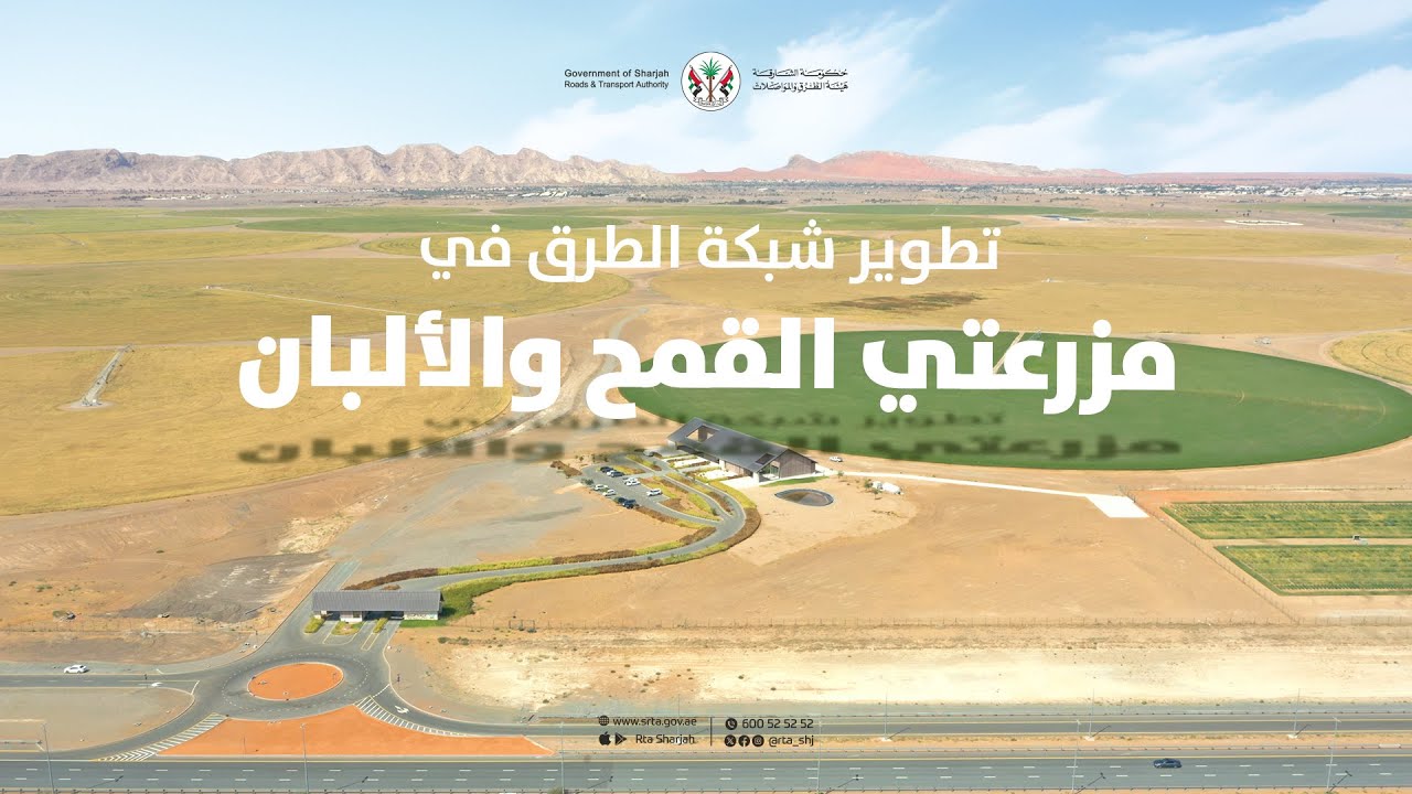 تطوير شبكة الطرق في مرزعتي القمح والألبان