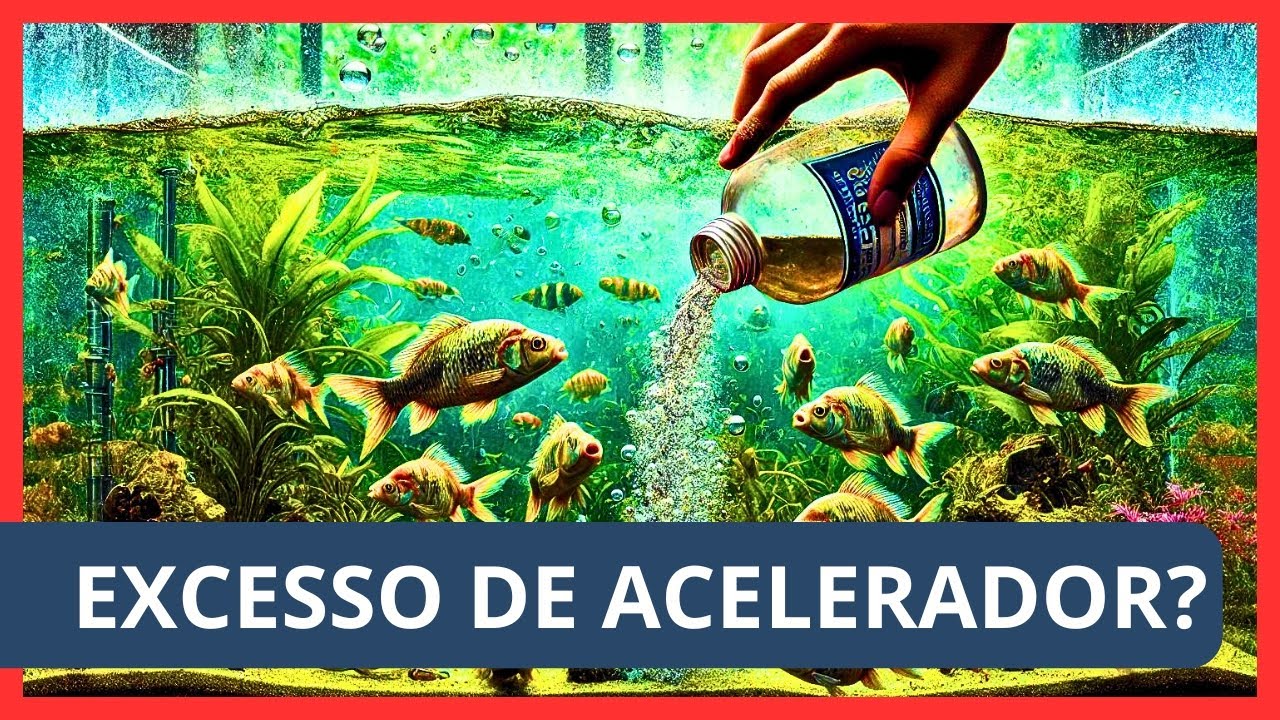 🐟 Acelerador Biológico no Aquário: Excesso? Super dosagem? O Que Acontece? 🌿