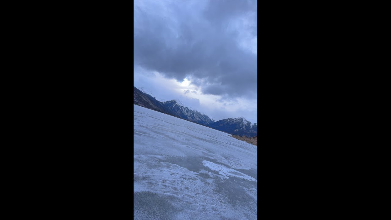 The Southern Woods Colorado!