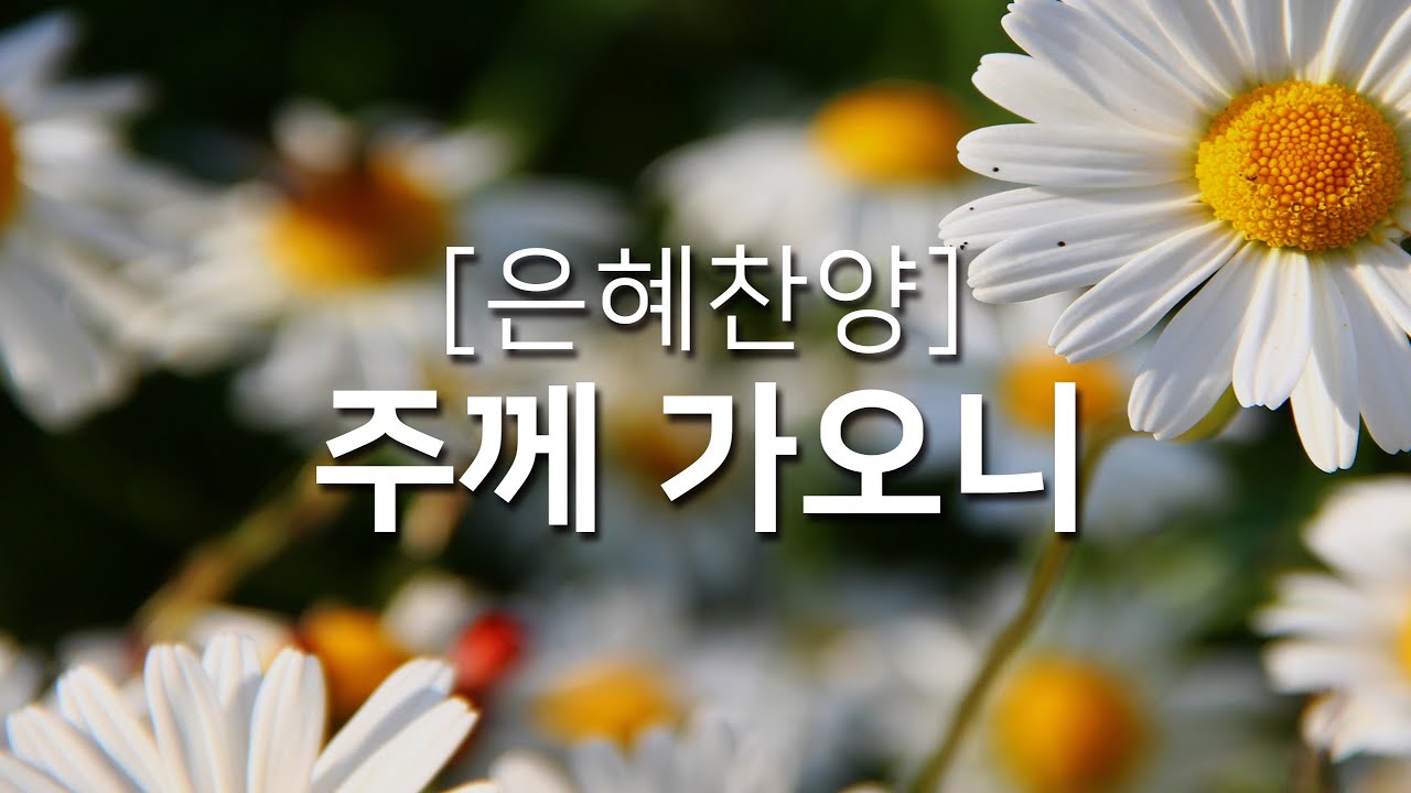 [복음성가연속듣기] 주께 가오니_하루찬양( 복음성가, 은혜찬양연속듣기 )
