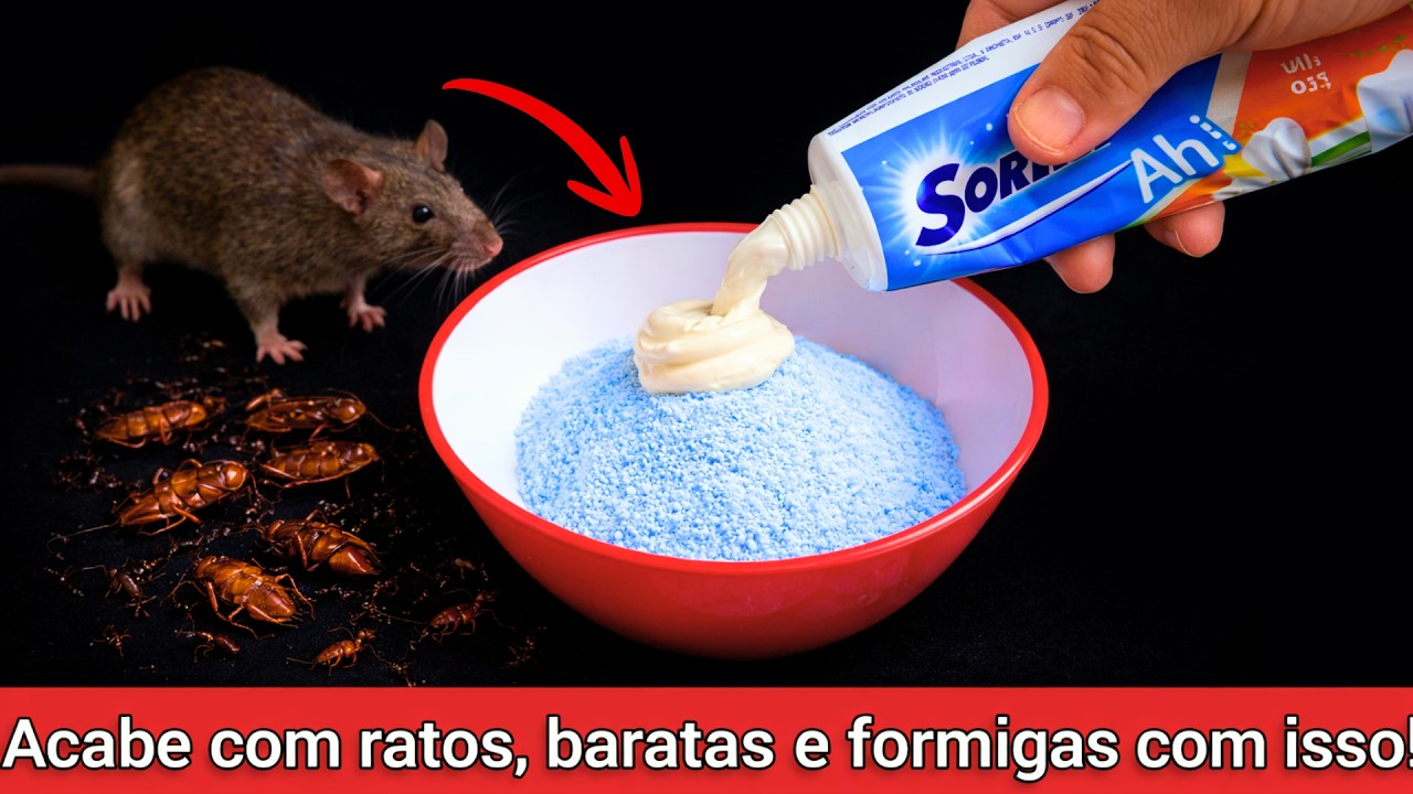 🔴 Como fazer MISTURINHA para sumir com os RATOS, BARATAS e FORMIGAS de uma vez ✅😱Cantinho da Gê
