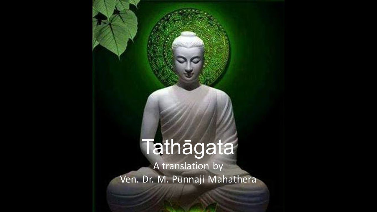 THE MEANING OF 