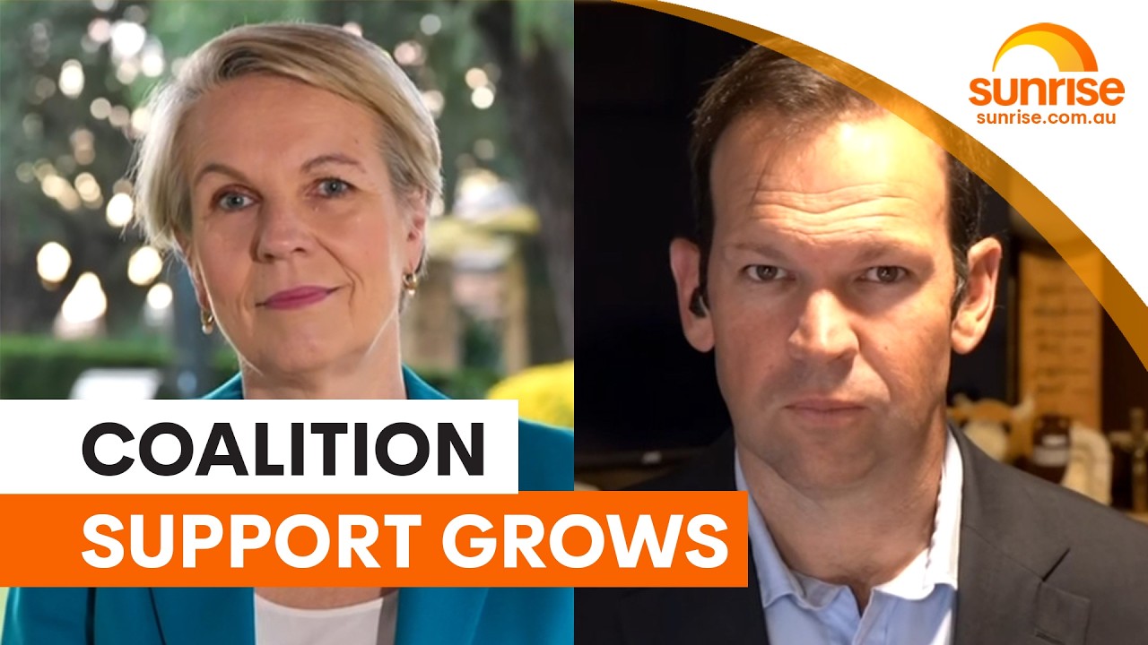 Coalition surges and One Nation leads polls | Sunrise