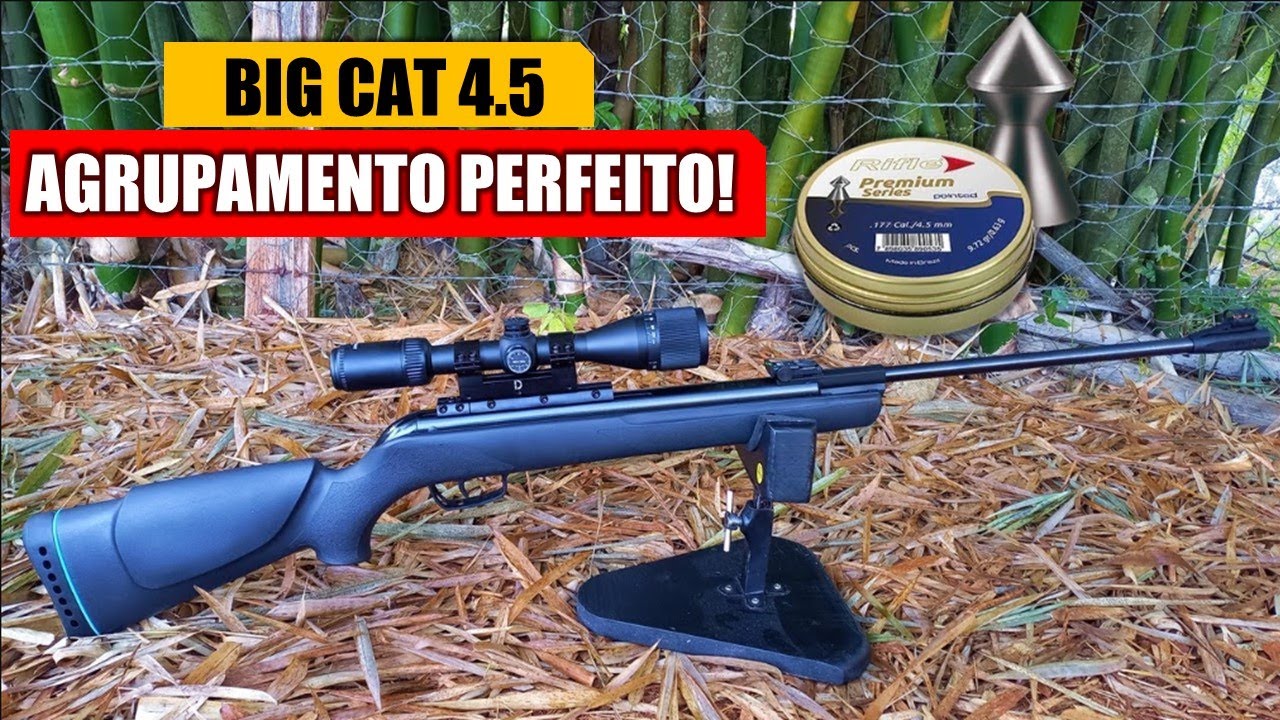 AGRUPAMENTO BIG CAT 4.5 45 KG INVERTER ELITE AIRGUNS COM RIFLE POINTED