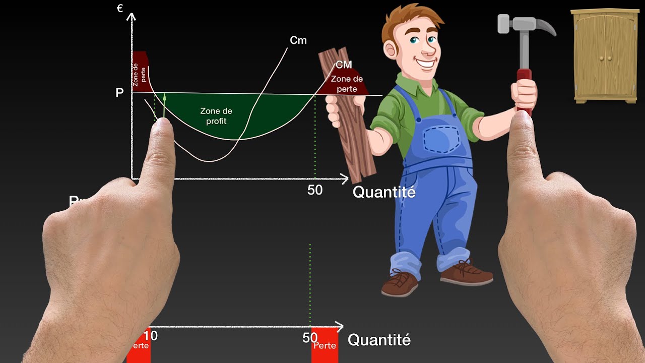 ✅ Maximisation du PROFIT dans un marché en concurrence pure et parfaite - Représentation graphique