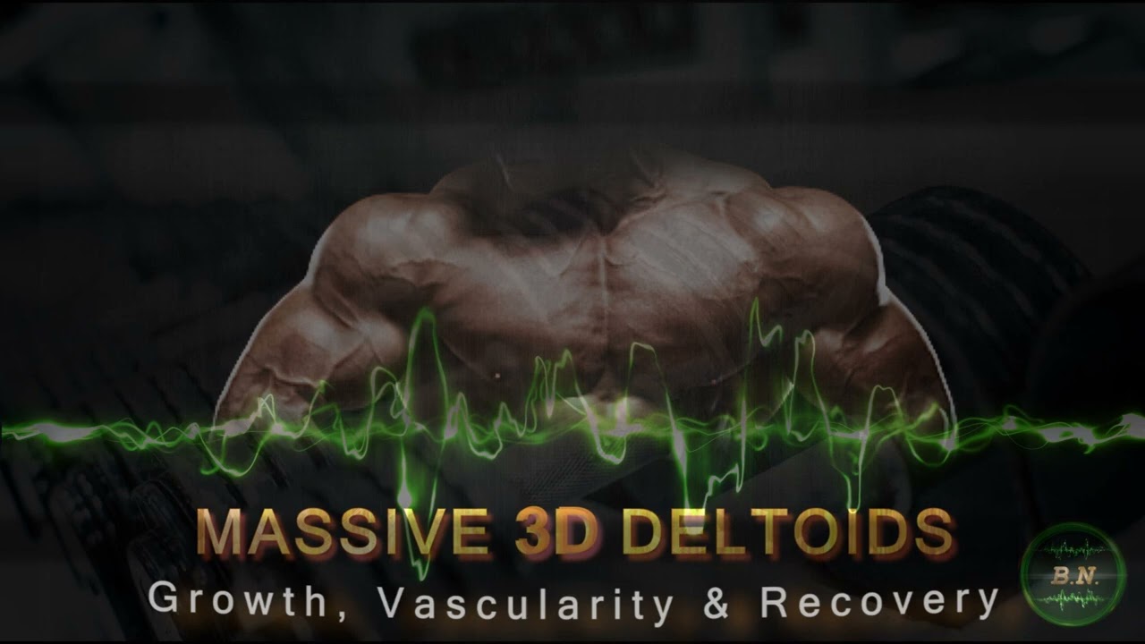 Massive 3D Deltoids - Wide Frame & Round Muscles