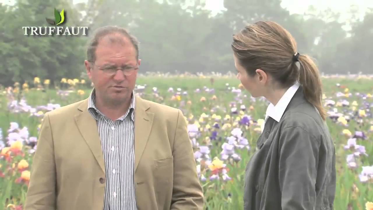 Richard Cayeux, créateur d'iris - Truffaut