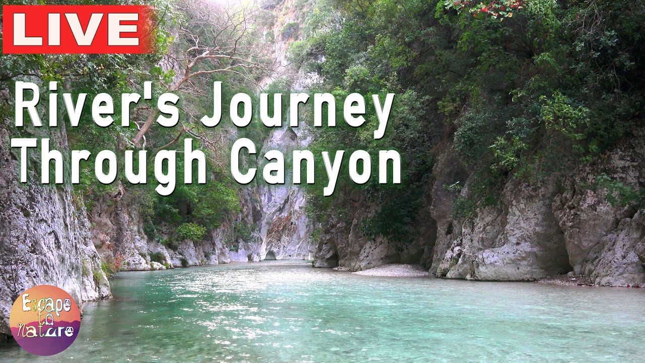 🔴 River's Journey Through Canyon - Soundscapes Meditation 