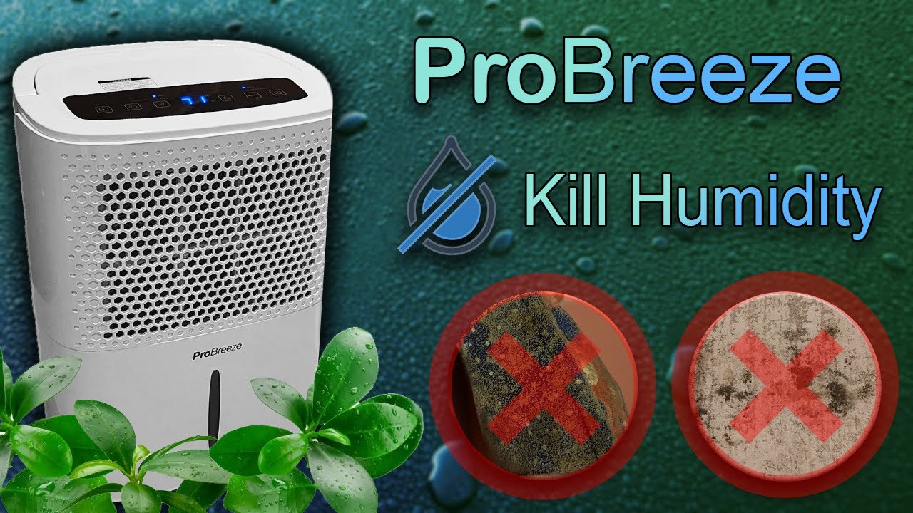 Осушитель воздуха Pro Breeze — действительно ли он помогает? Как избавиться от сырости и нежелате...